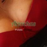 Camila Let Us Share A Remarkable And Thrilling Occasion High Profile Escort Chandigarh