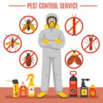 Super Duper Pest Control Service in Delhi