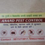 Anand Pest Control Service All Over Delhi